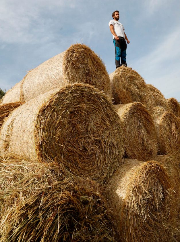 éco-agrotourisme. ANDRIA PIERI