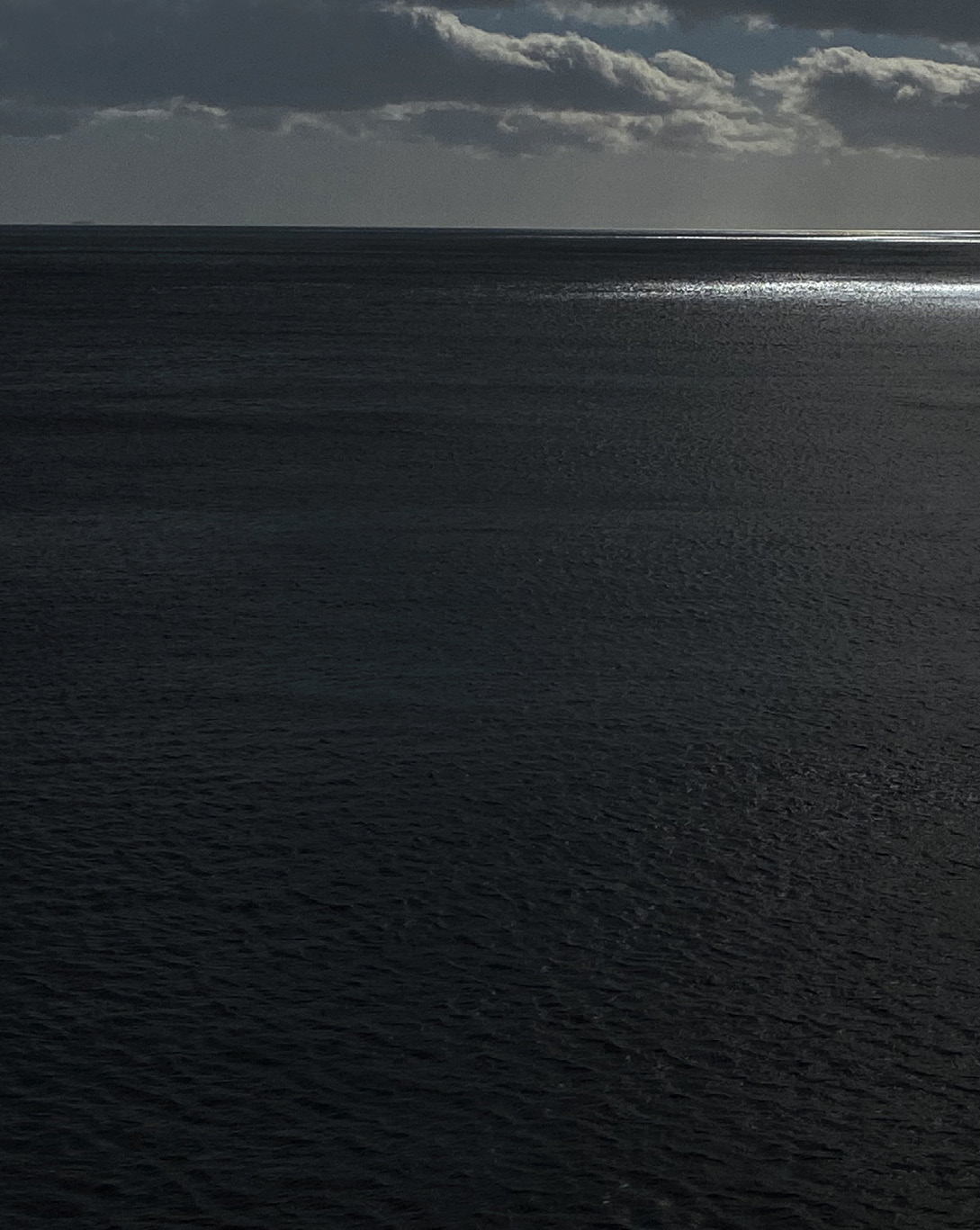 CONDAMNNÉE SAUVER LA MÉDITERRANÉE