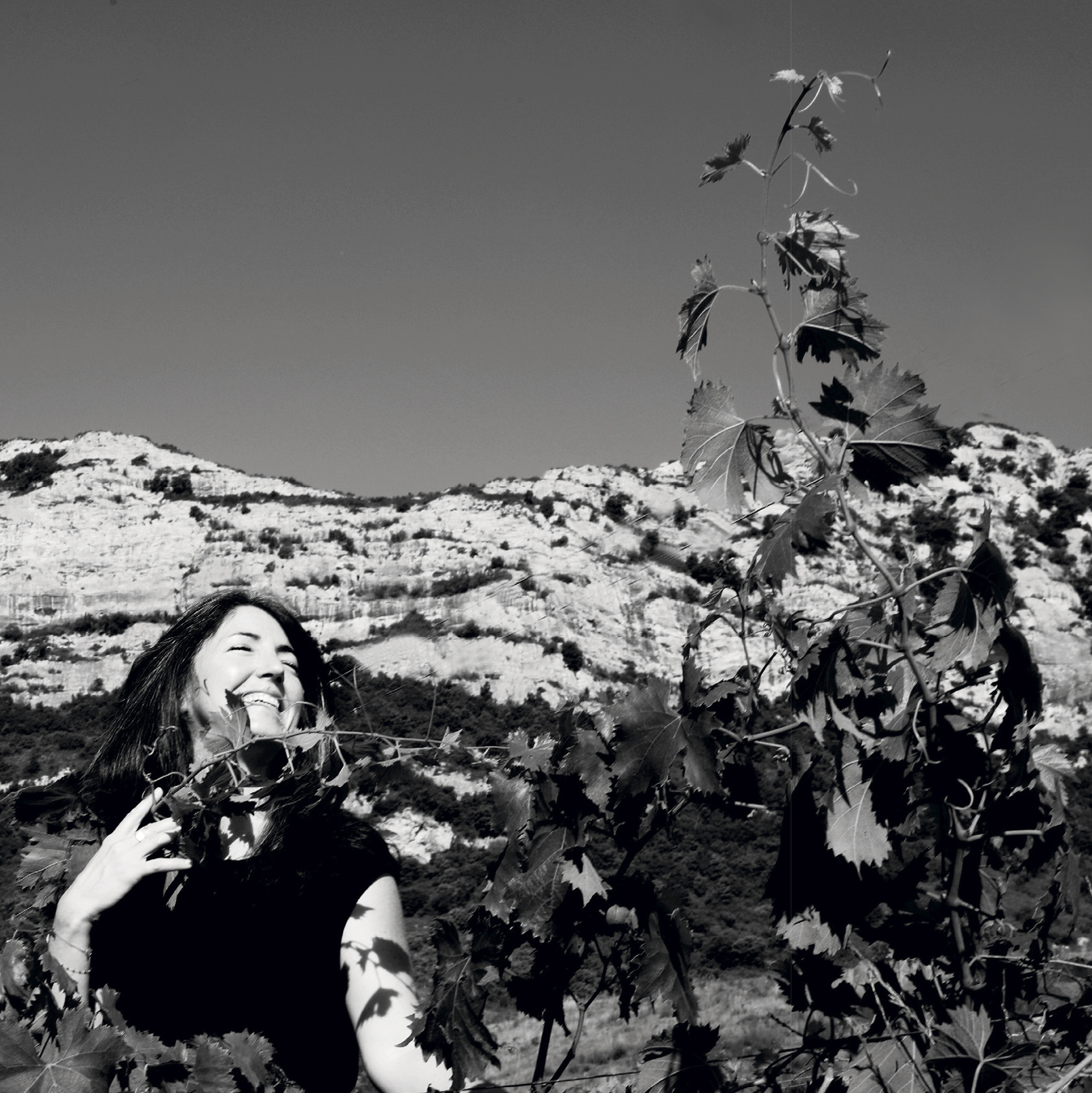 Le domaine Marengo