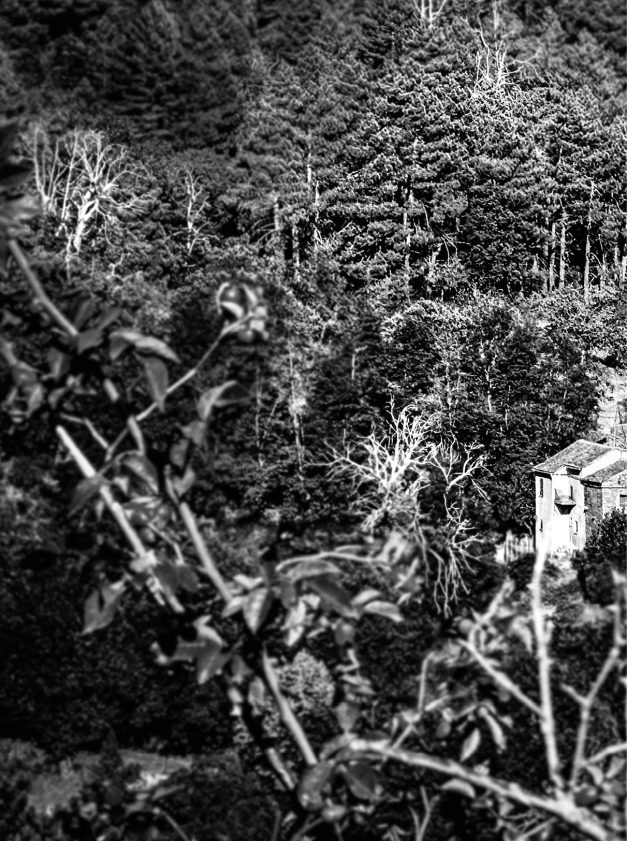 A STRADA PAOLINA