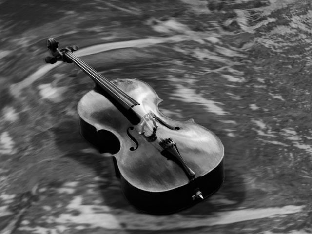 GAUTIER CAPUÇON