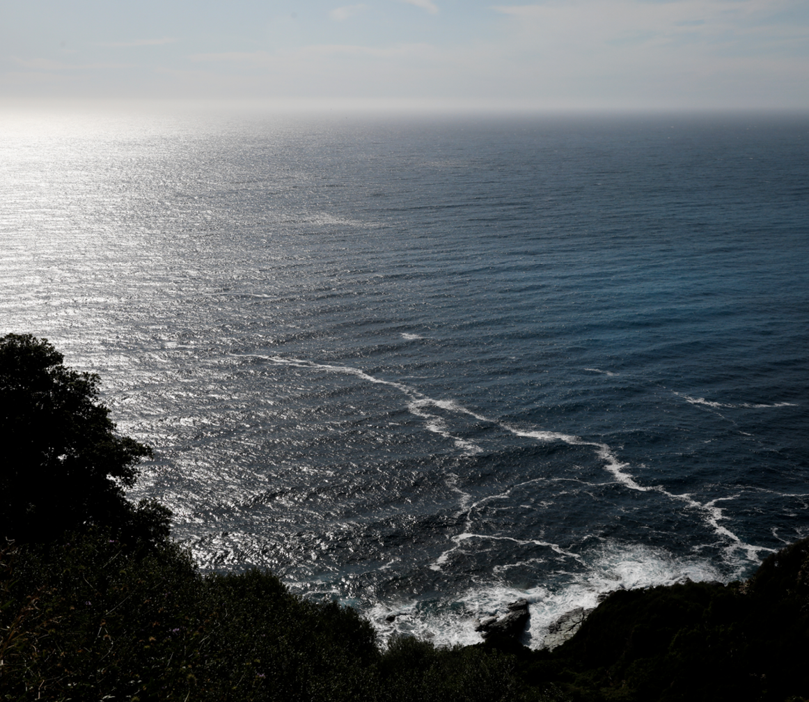 CONDAMNNÉE Sauver LA MÉDITERRANÉE