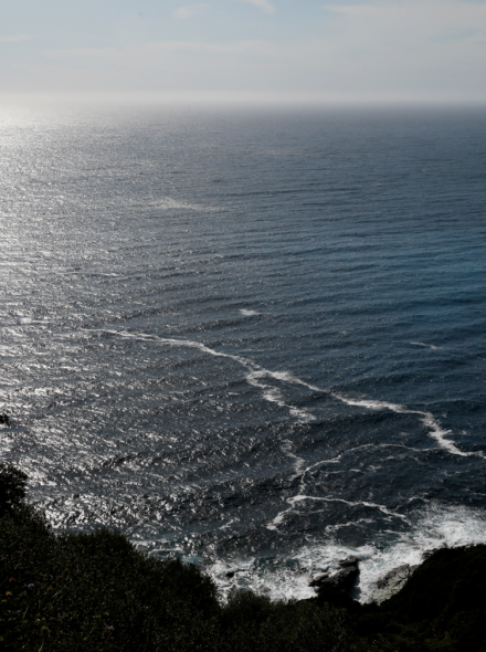 CONDAMNNÉE Sauver LA MÉDITERRANÉE