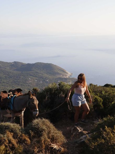 LA CORSE OU LE TOURISME PARADOXAL 