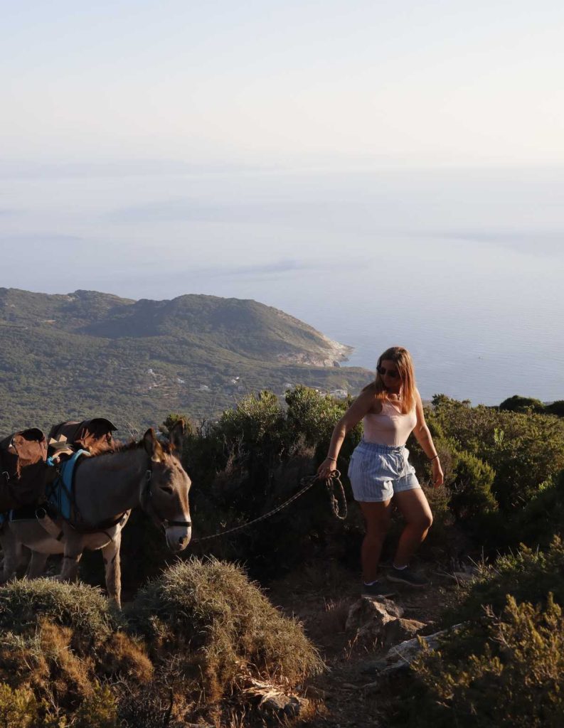LA CORSE OU LE TOURISME PARADOXAL 