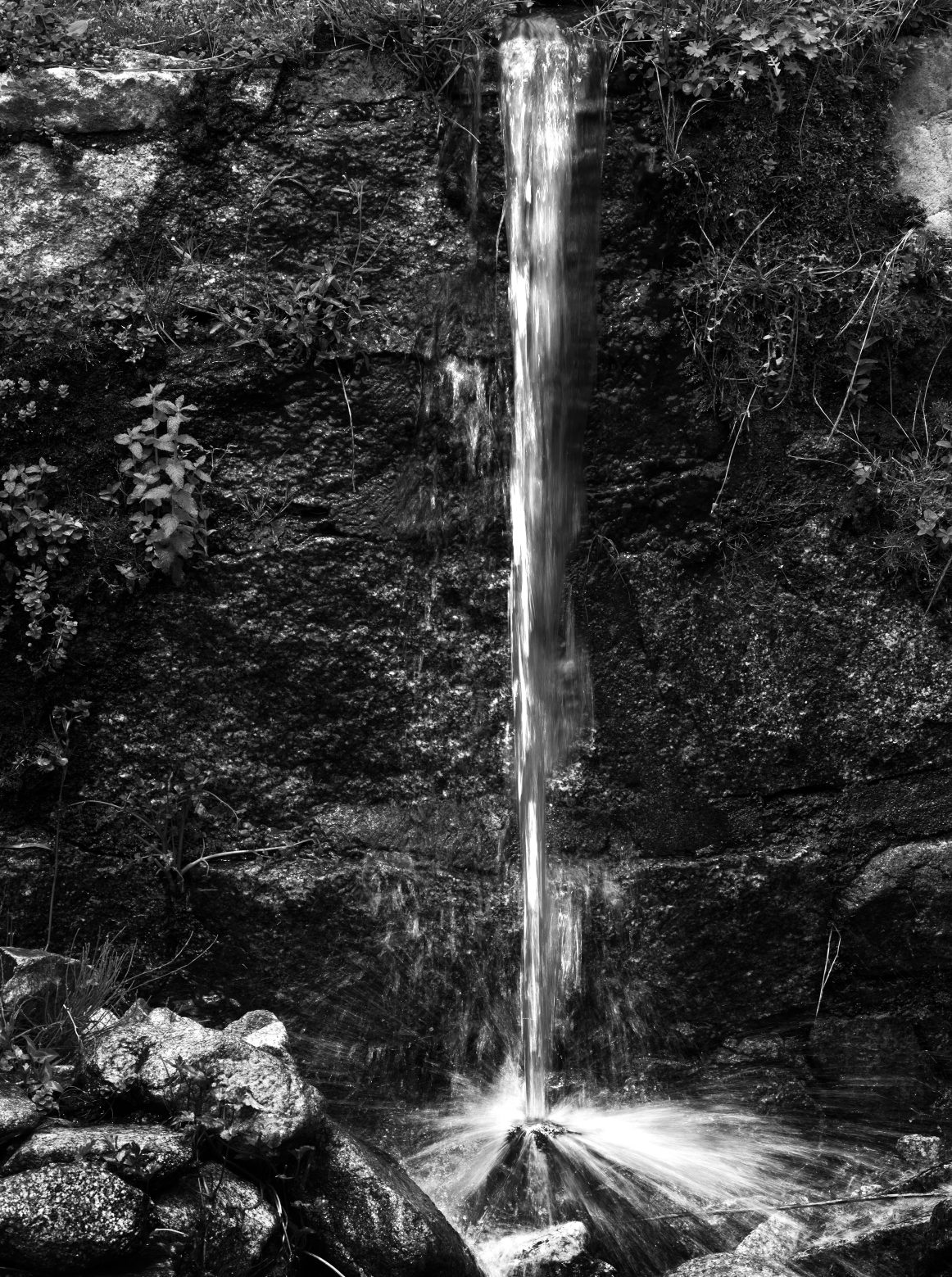 L’eau de Corse DE L’OR, DU PLOMB, DU PLASTIQUE.