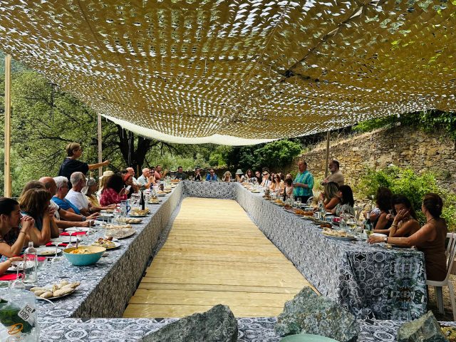 animA salvaticA 2025 Petr’animA