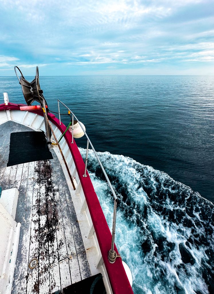 Jean-Michel DIMENZA MARIN PÊCHEUR DU CAP