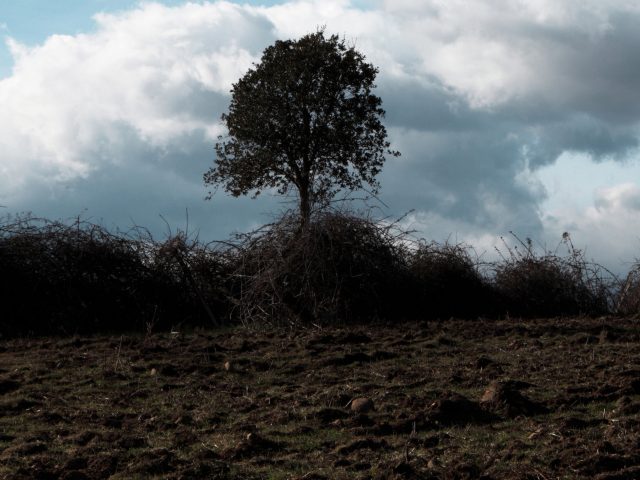 LA CORSE terre agricole ?