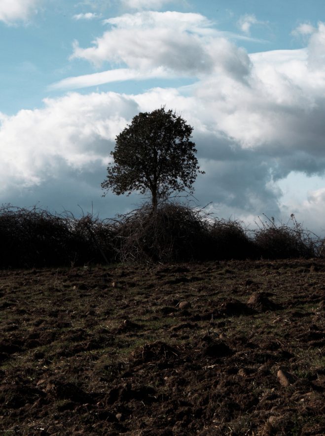 LA CORSE terre agricole ?