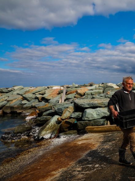 Jean-François VENTURI MARIN PÊCHEUR À BARCAGGIO