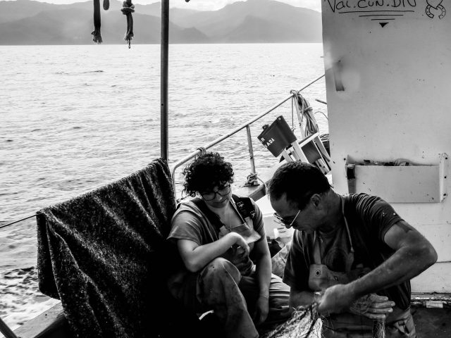 PÊCHEURS ET SCIENTIFIQUES TRAVAILLENT EN COLLABORATION POUR PROTÉGER LES LANGOUSTES ROUGES