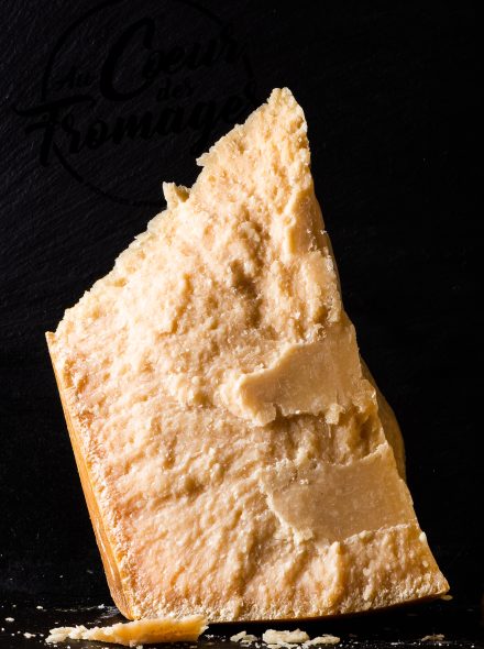 Les PUCES et le Parmesan