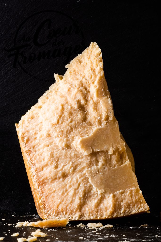 Les PUCES et le Parmesan