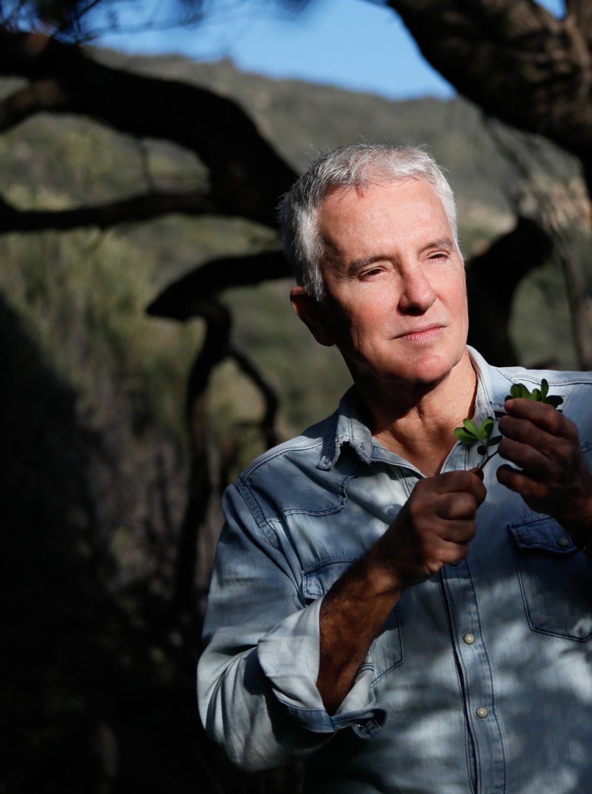 Marc-Antoine CORTICCHIATO