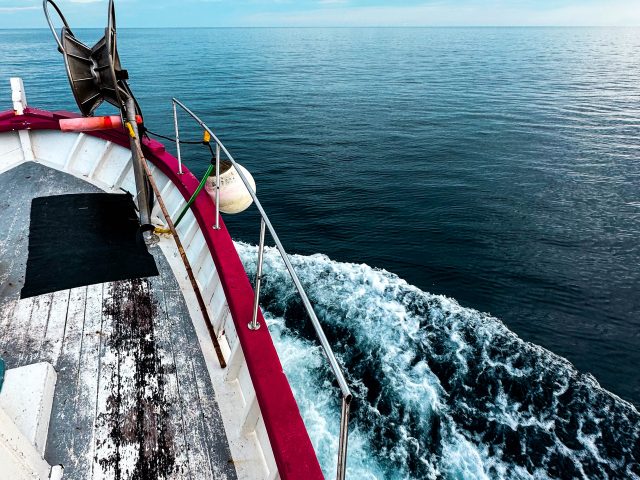 Jean-Michel DIMENZA MARIN PÊCHEUR DU CAP