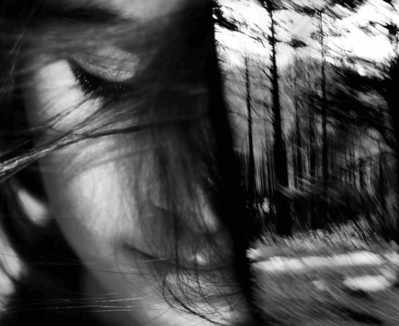 Rita SCAGLIA MOSTRA METAMORPHOSIS
