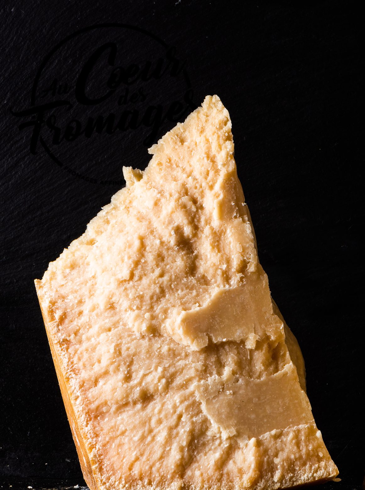 Les PUCES et le Parmesan